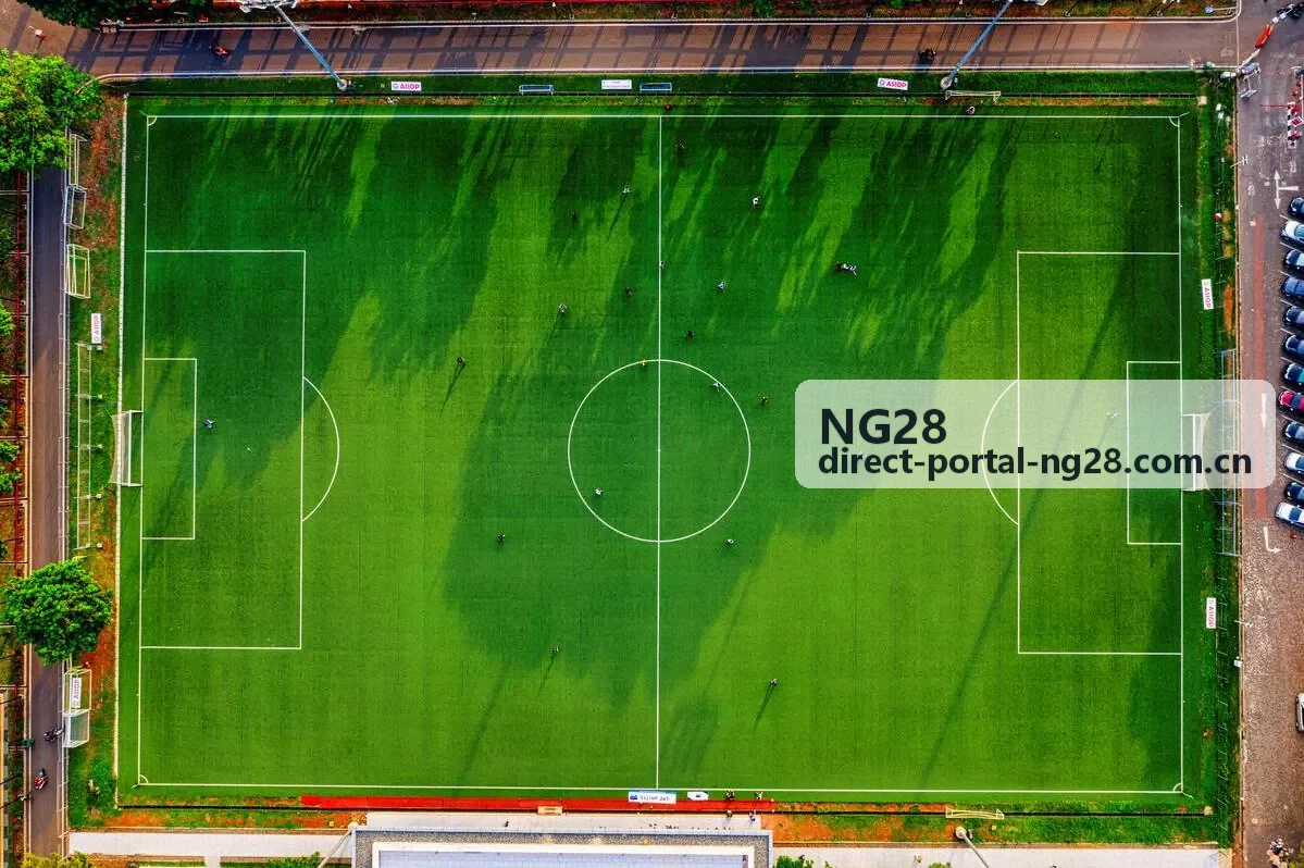 NG28爆款攻略第一名